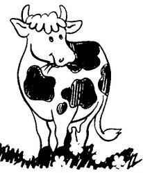 plansa de colorat animale vaci #4