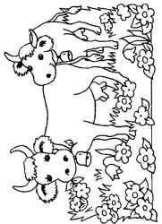 plansa de colorat animale vaci #8