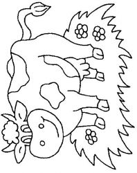 plansa de colorat animale vaci #13