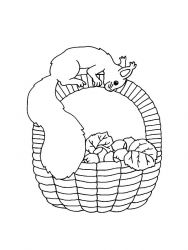 plansa de colorat animale veverite #7