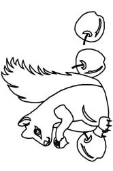 plansa de colorat animale veverite #1