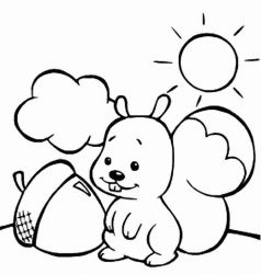 plansa de colorat animale veverite #6
