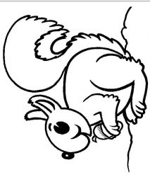 plansa de colorat animale veverite #7