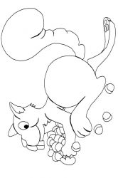 plansa de colorat animale veverite #13