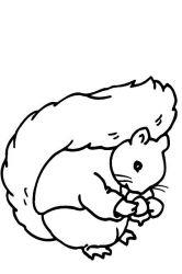 plansa de colorat animale veverite #16