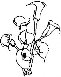 plansa de colorat flori #3