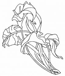 plansa de colorat flori #6