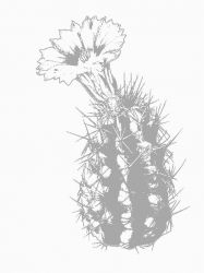 plansa de colorat flori #9