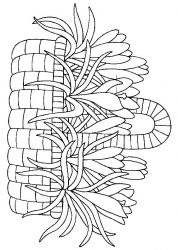 plansa de colorat flori #12