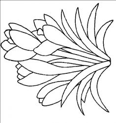 plansa de colorat flori #15