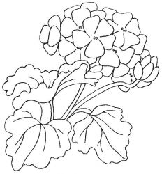 plansa de colorat flori #21