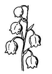 plansa de colorat flori #16