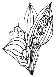 plansa de colorat flori #18