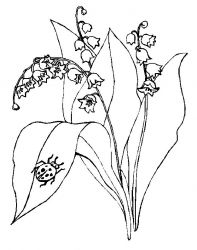 plansa de colorat flori #1