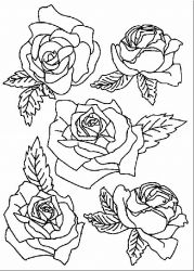 plansa de colorat flori trandafiri #21
