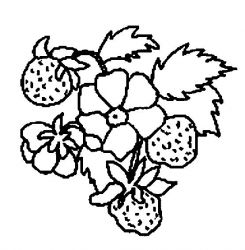 plansa de colorat fructe capsune #7