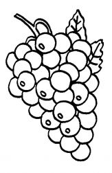 plansa de colorat fructe struguri #7