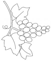 plansa de colorat fructe struguri #14