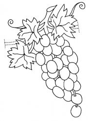 plansa de colorat fructe struguri #16