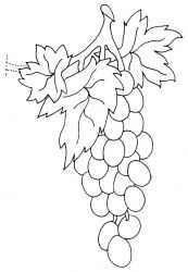 plansa de colorat fructe struguri #17