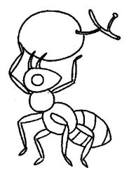 plansa de colorat fructe struguri #20