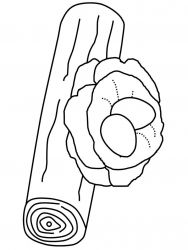 plansa de colorat locuinte #15
