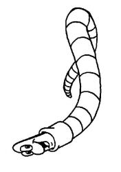 plansa de colorat maya the bee #17