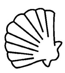 plansa de colorat scoici #1