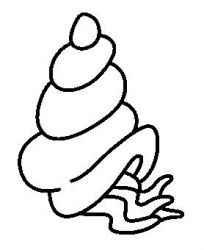 plansa de colorat scoici #5