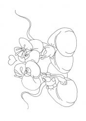 plansa de colorat sfantul valentin #15