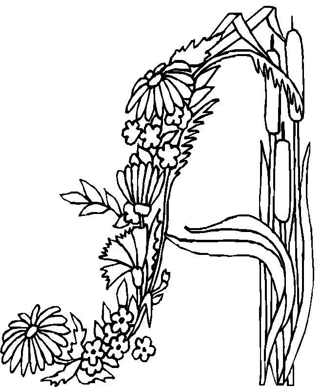 Alfabetul cu flori de colorat p01