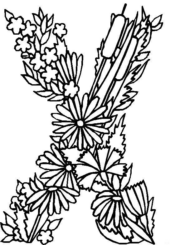 Alfabetul cu flori de colorat p24