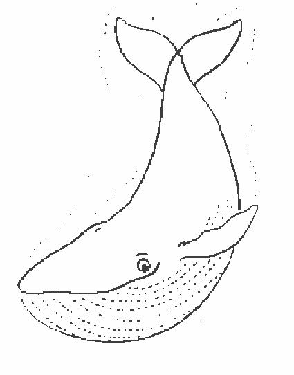 Animale balene de colorat p05