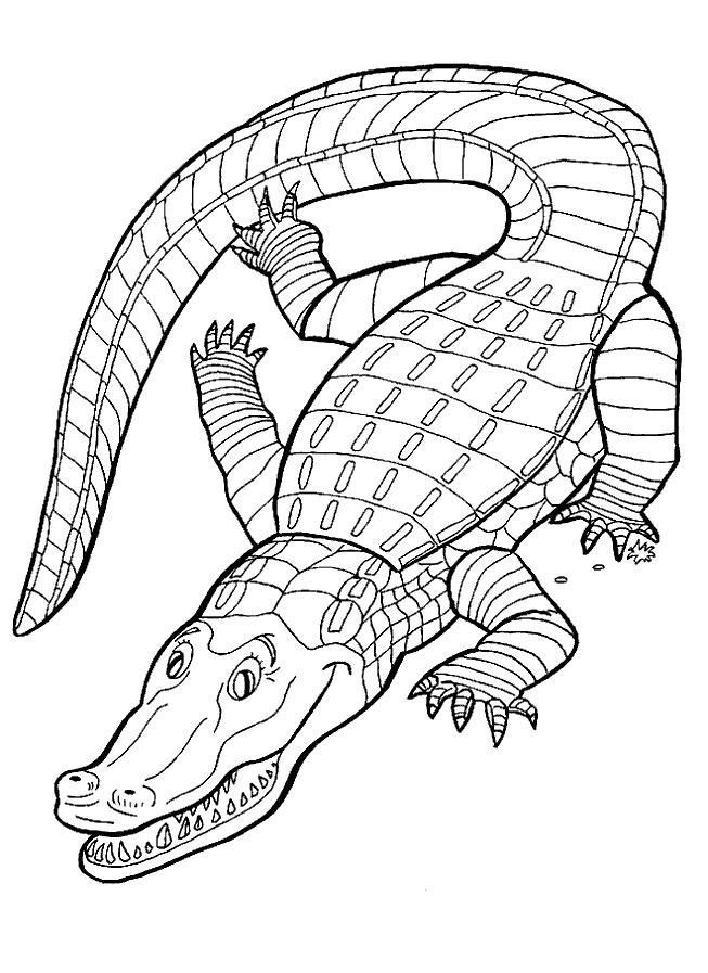 Animale crocodili de colorat p09