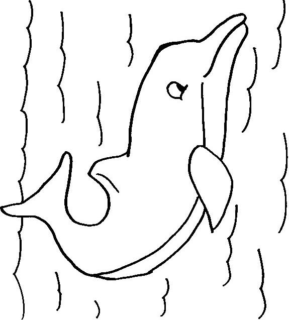 Animale delfini de colorat p04