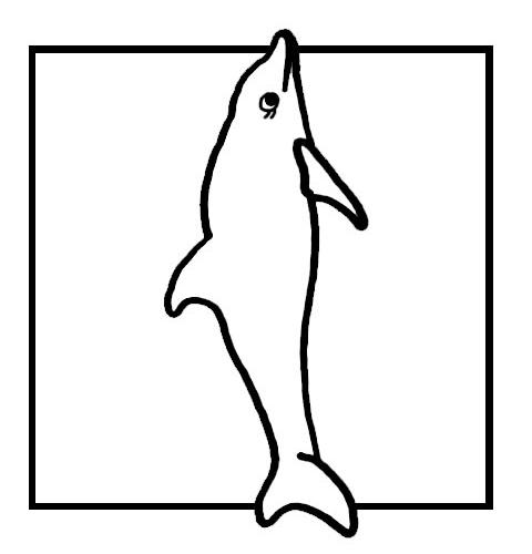 Animale delfini de colorat p05