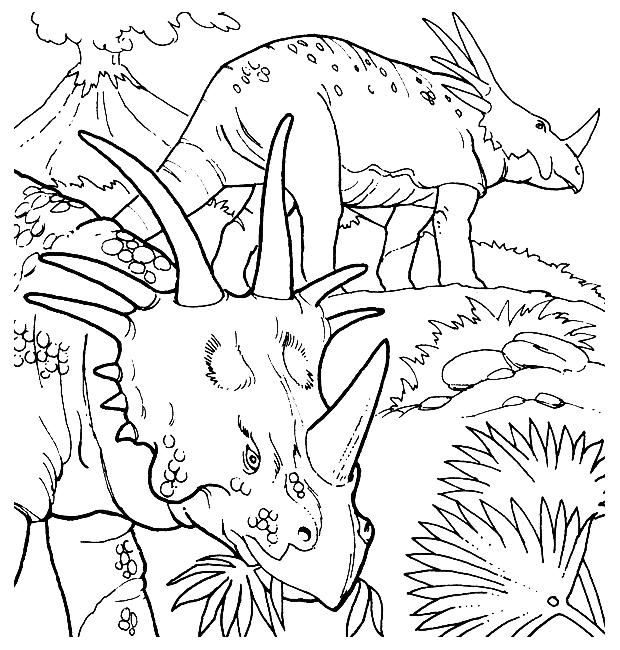 Animale dinozauri de colorat p59