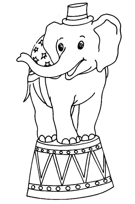 Animale elefanti de colorat p01