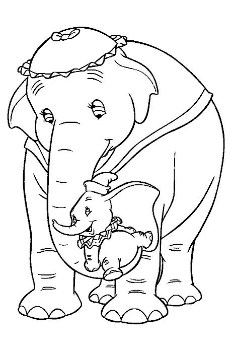 Animale elefanti de colorat p04