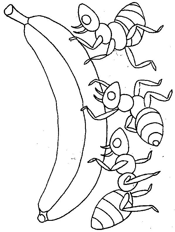 Animale furnici de colorat p01