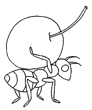 Animale furnici de colorat p03