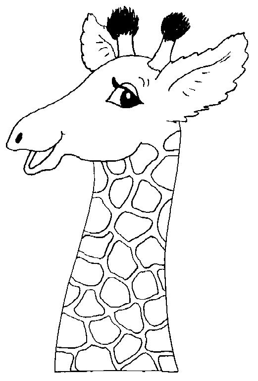 Animale girafe de colorat p08