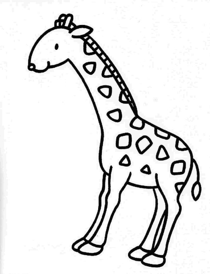 Animale girafe de colorat p17