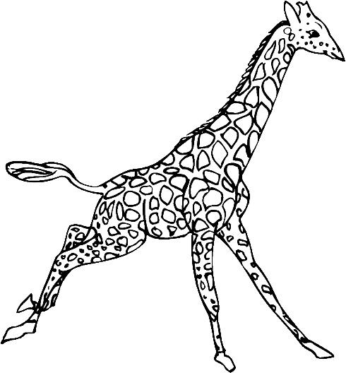 Animale girafe de colorat p20