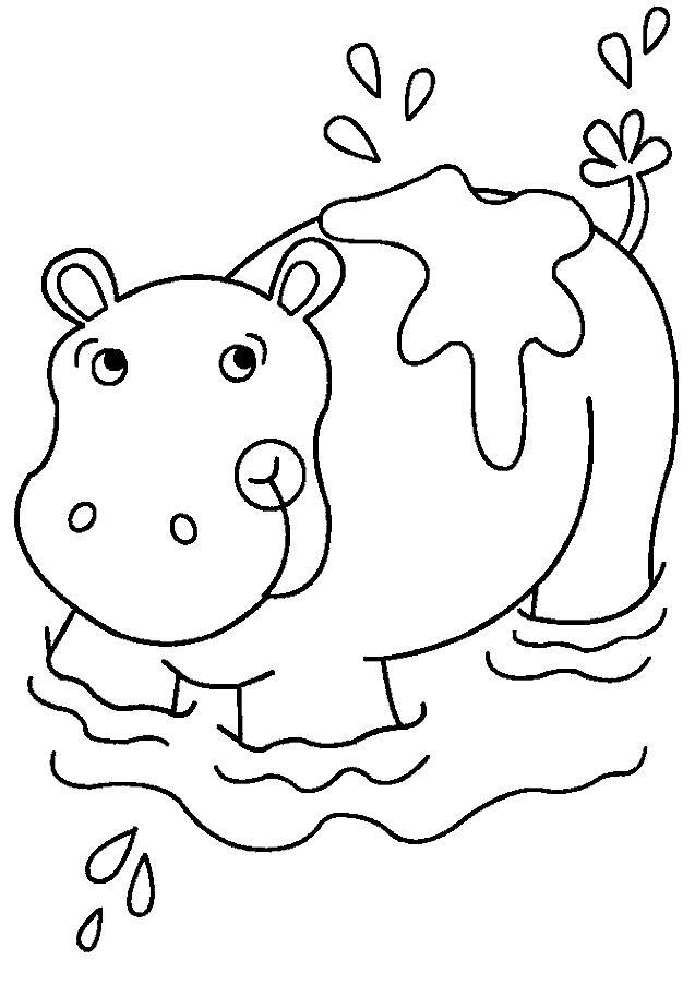 Animale hipopotami de colorat p05