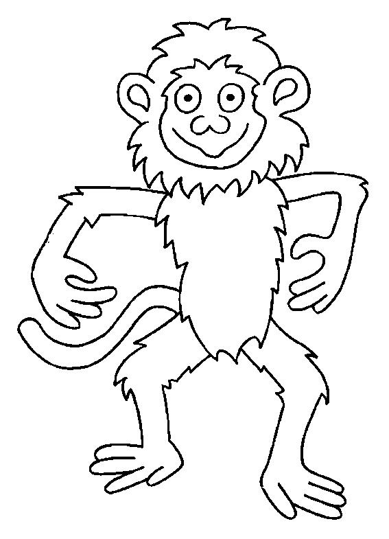 Animale maimute de colorat p05