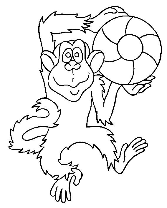 Animale maimute de colorat p06