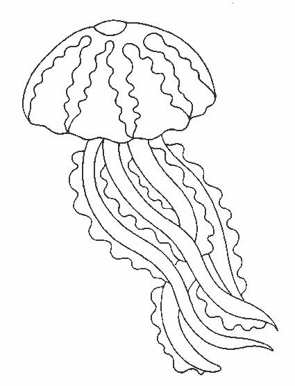 Animale meduze de colorat p05