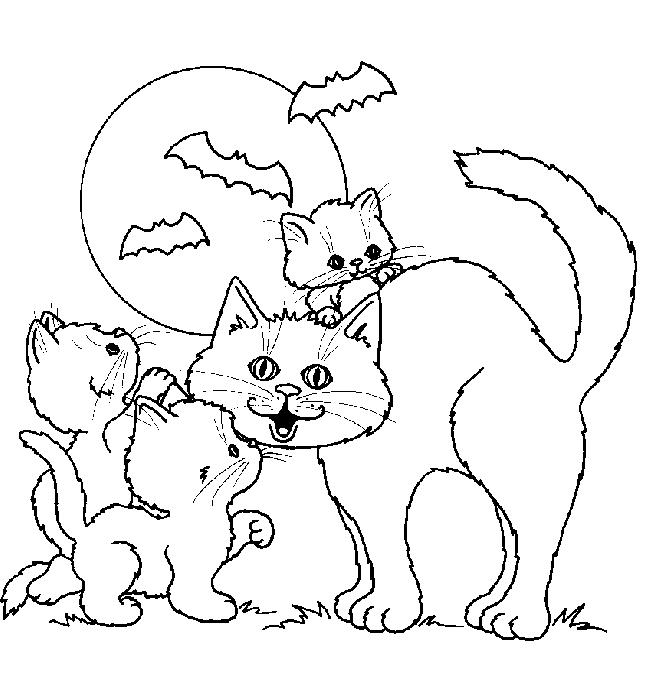 Animale pisici de colorat p49