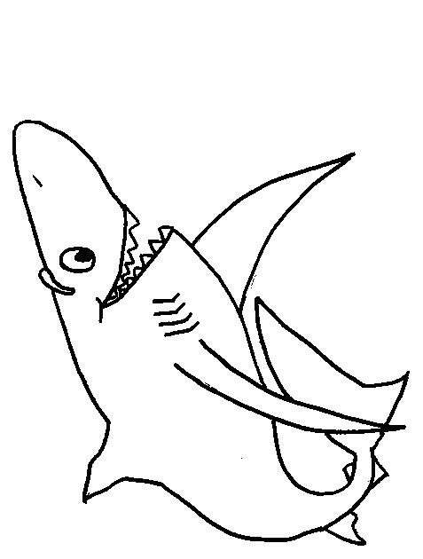 Animale rechini de colorat p16